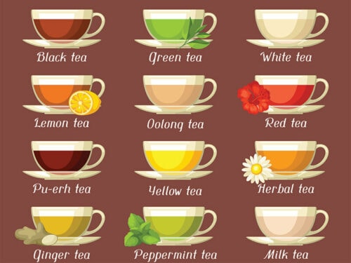 38+ Types of Tea to Discover in 2024