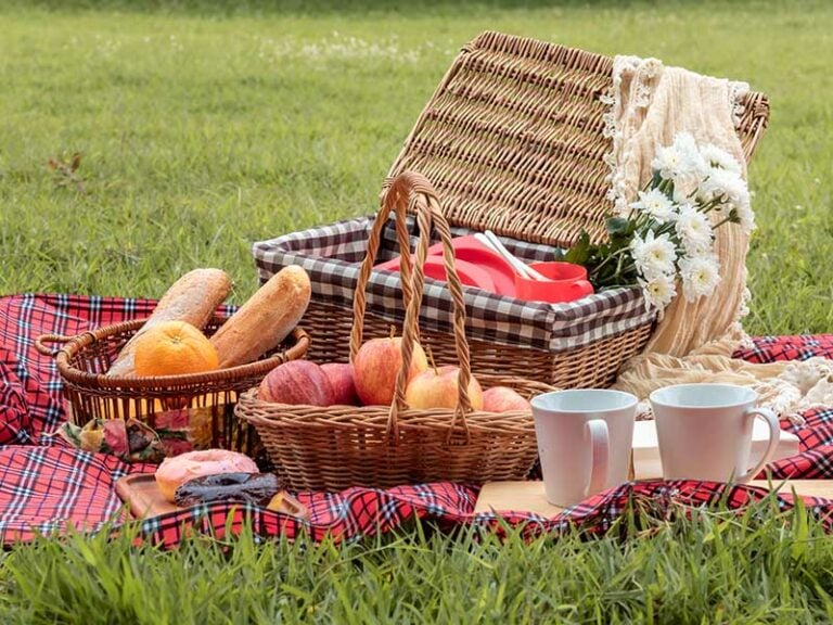 Best Picnic Baskets