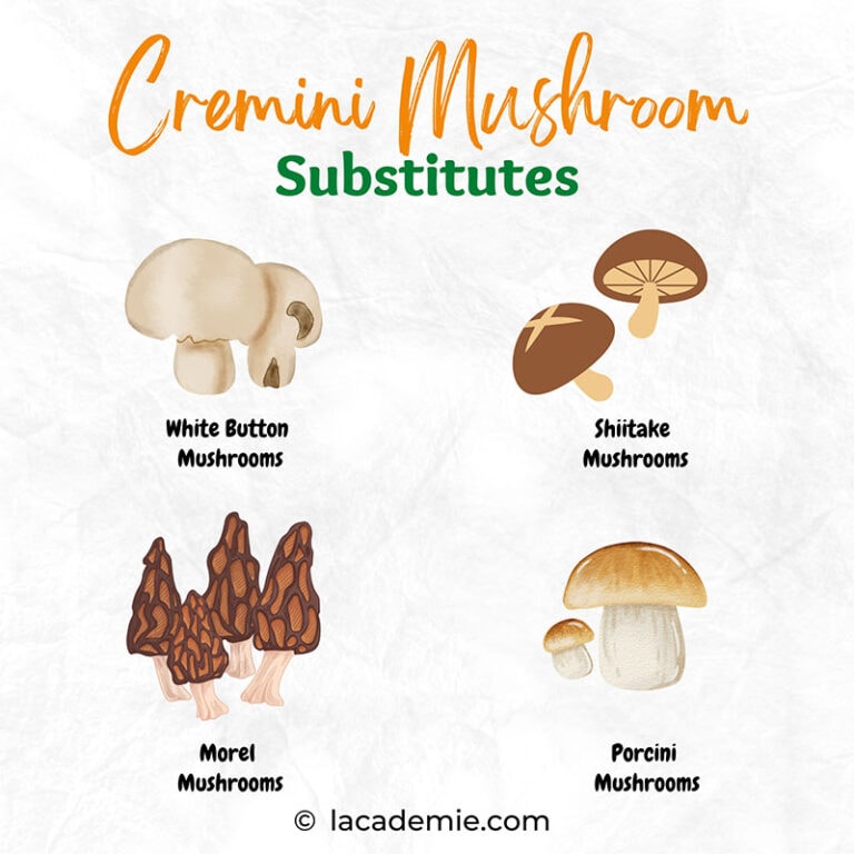 25+ Cremini Mushroom Substitutes for Your Culinary Needs in 2024