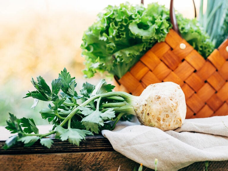 Different Types Of Celery