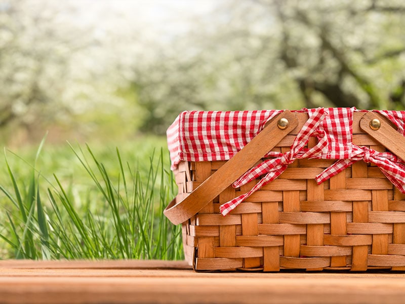 Diy Picnic Basket