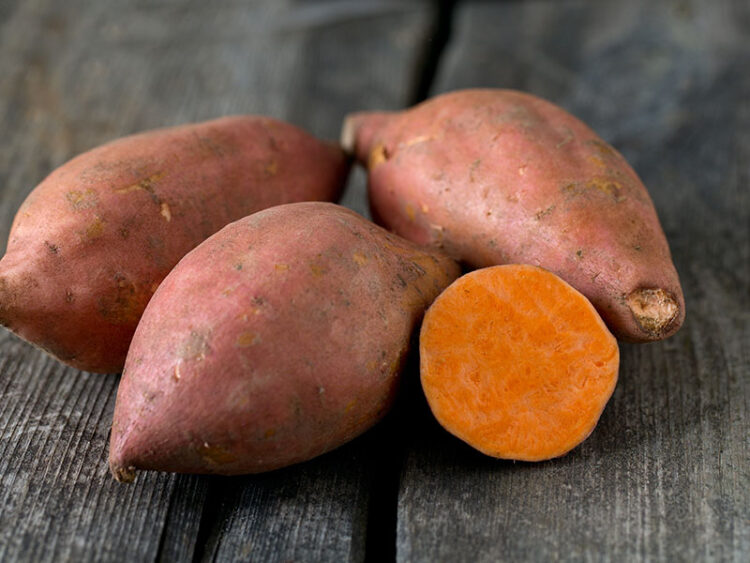 Sweet Potato Varieties To Enjoy In