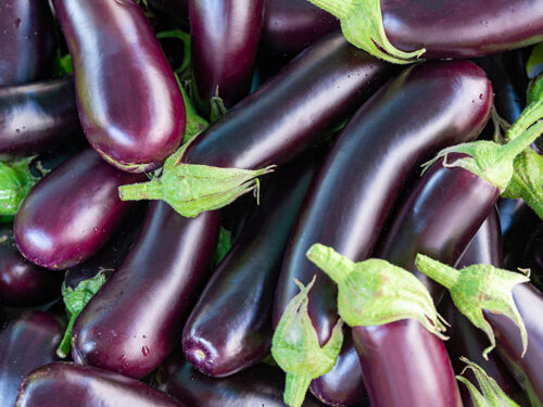 19 Different Types Of Eggplant You Wish You Knew Earlier 2023