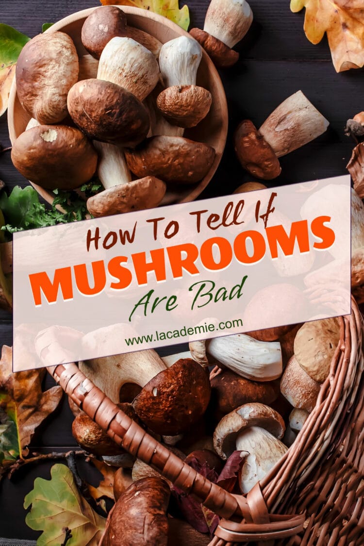 How to Identify Bad Mushrooms: The Ultimate Guide for 2024