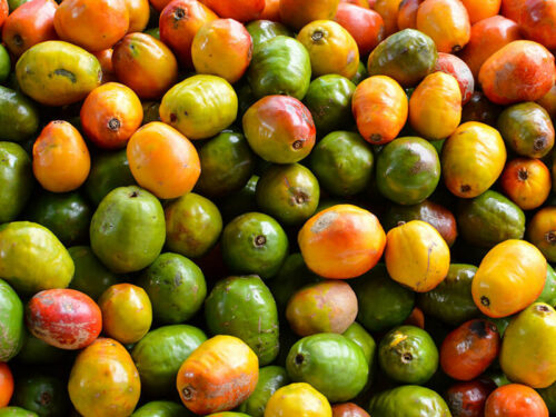 20+ Mexican Fruits to Add to Your Diet in 2024