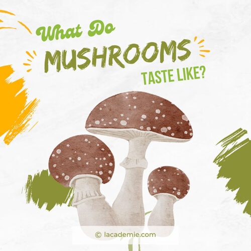 What Do Mushrooms Taste Like? The Secret Answer 2023