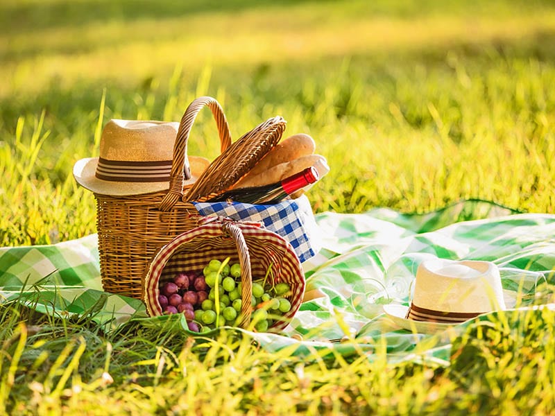 Store Picnic Basket