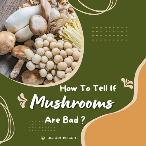 How to Identify Bad Mushrooms: The Ultimate Guide for 2024