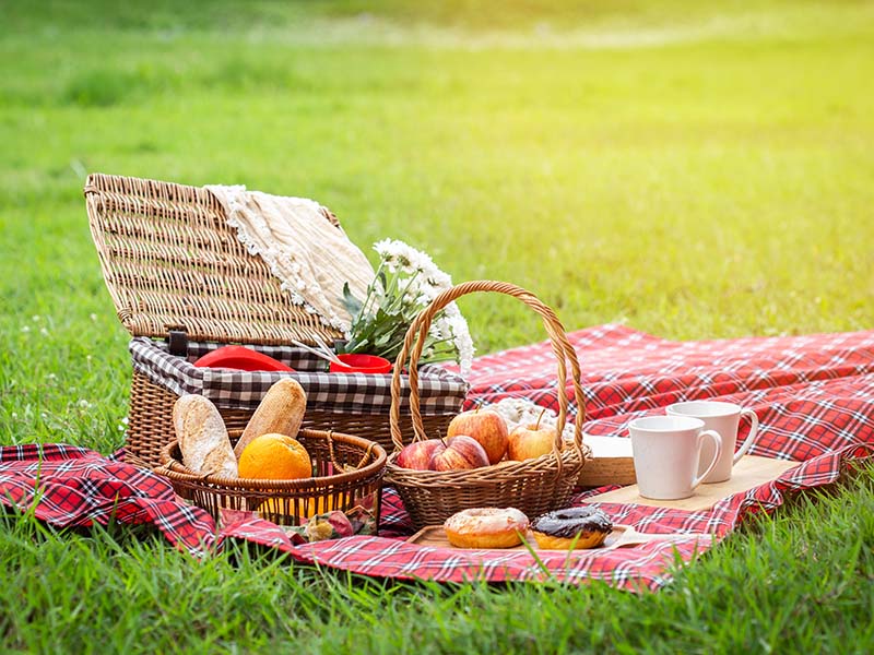 The Best Picnic Basket