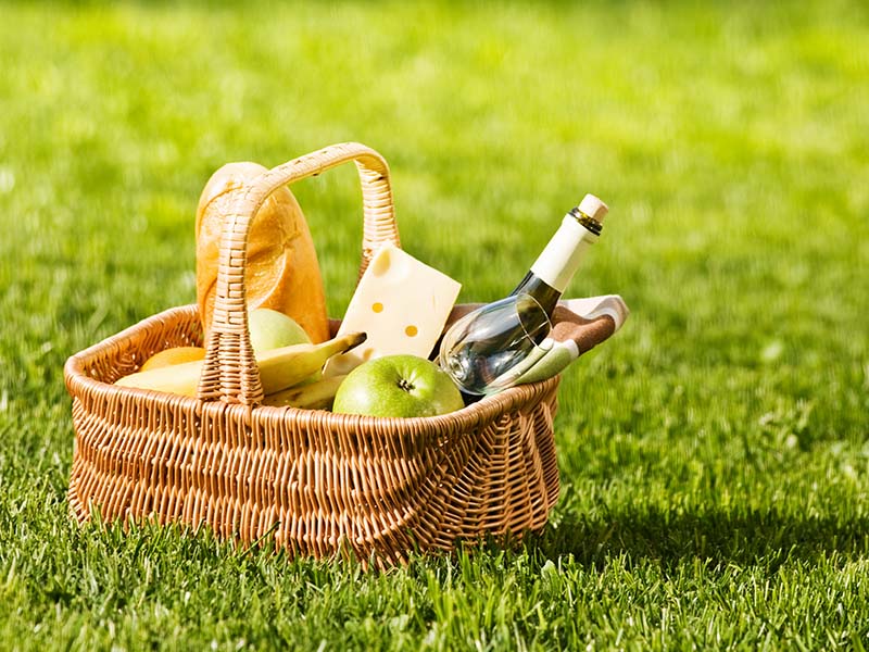 The Handle Picnic Basket