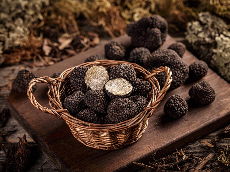 Truffles Mushrooms