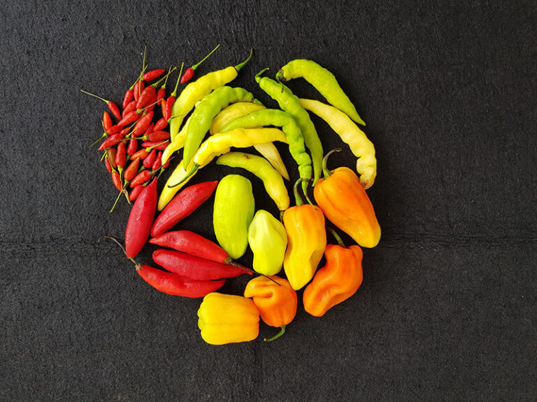 Types Of Chili Peppers