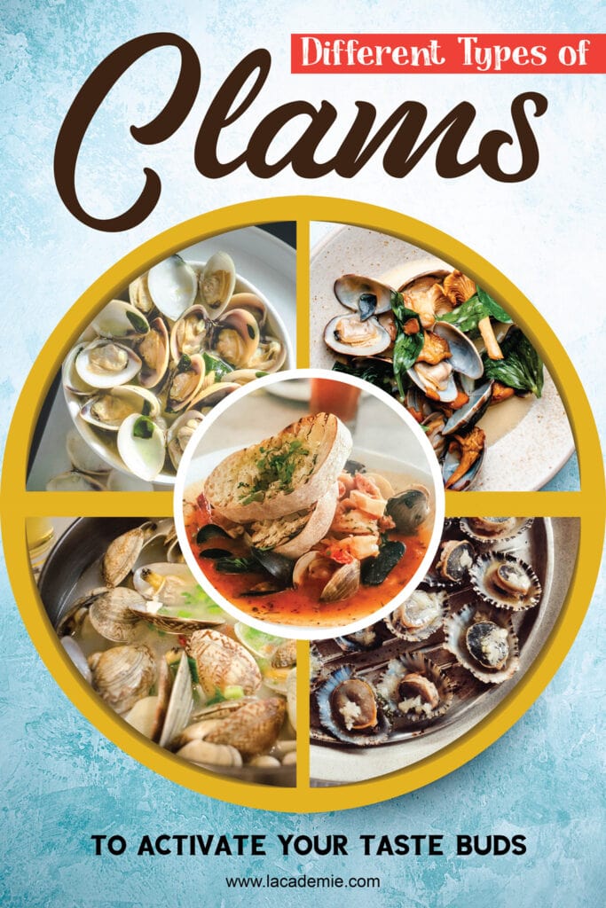 Types of Clams