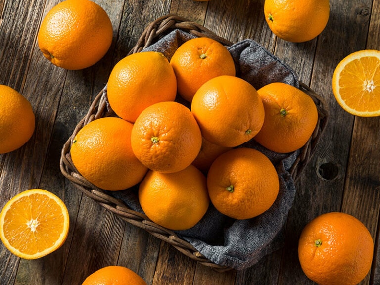 Types Of Oranges