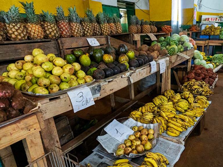 Incredible Cuban Fruit