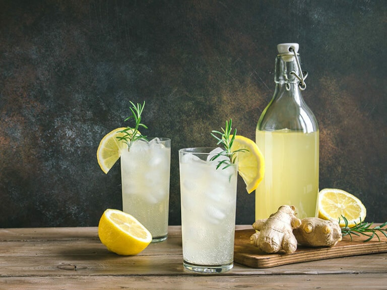 Best Ginger Ale Cocktails