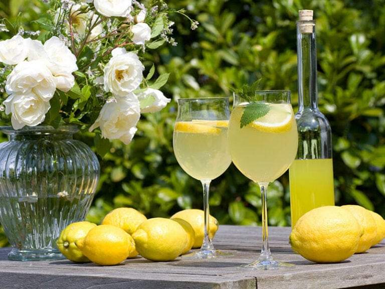 Best Limoncello Cocktails