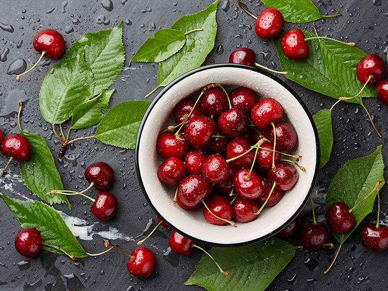 Cherry Season Is In Summer