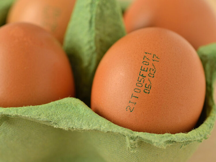 Left Eggs Out Overnight Safety Guidelines 2024