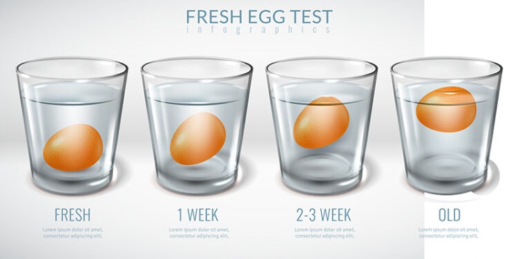 Left Eggs Out Overnight: Safety Guidelines 2024