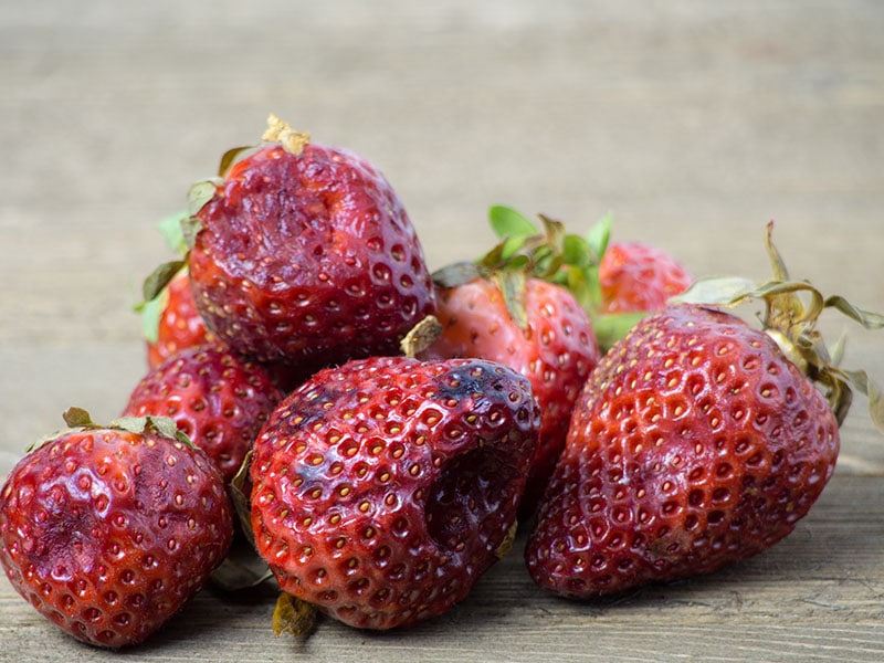 Overripe Strawberries