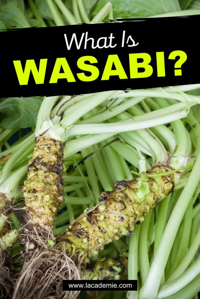 What Is Wasabi