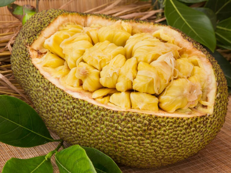 Can You Freeze Jackfruit