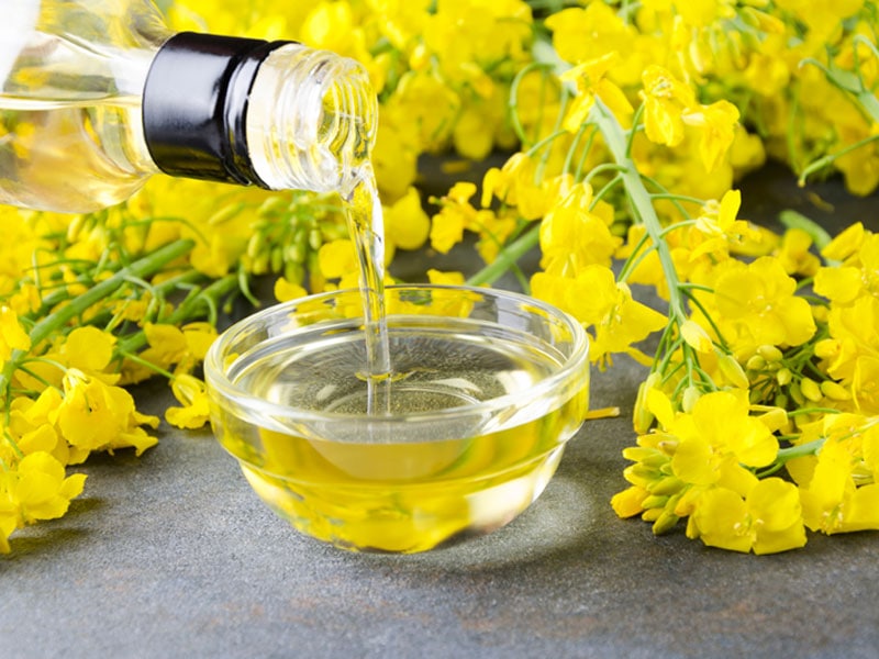 Canola Oil