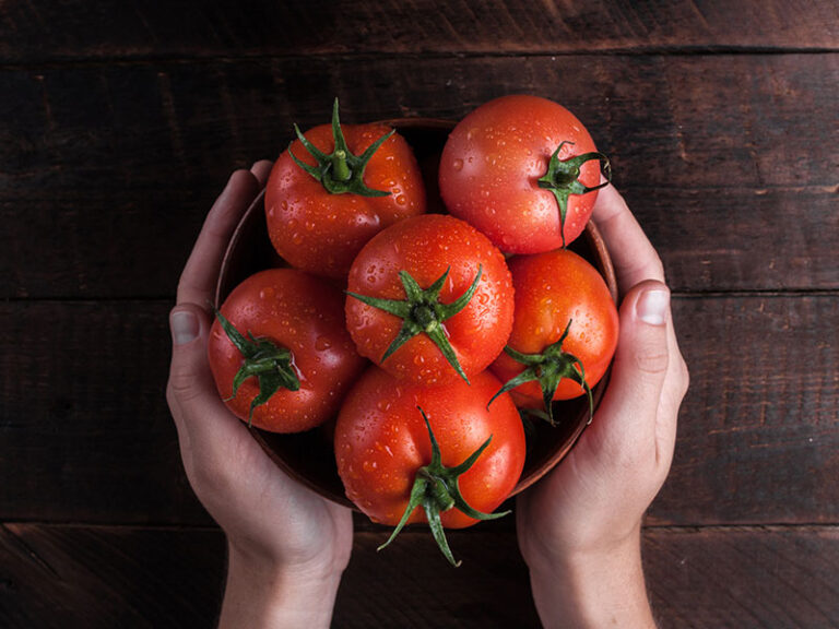 How To Tell If A Tomato Is Bad