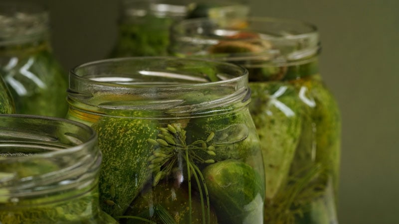 Salt Brine Pickles