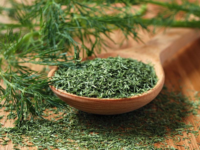 Freeze Dried Dill