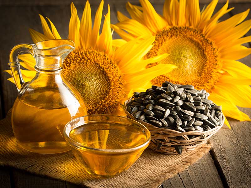 Sunflower Oil