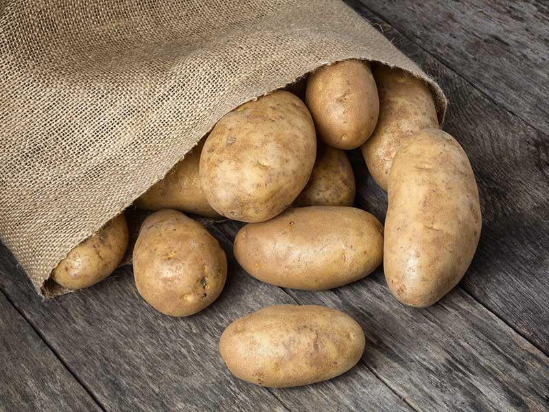 Russet Potatoes