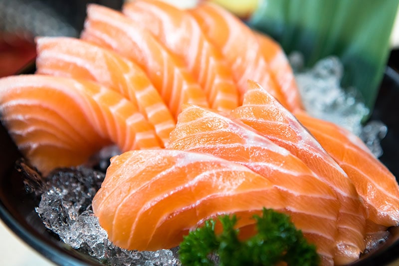 Salmon Sashimi Japanese Food