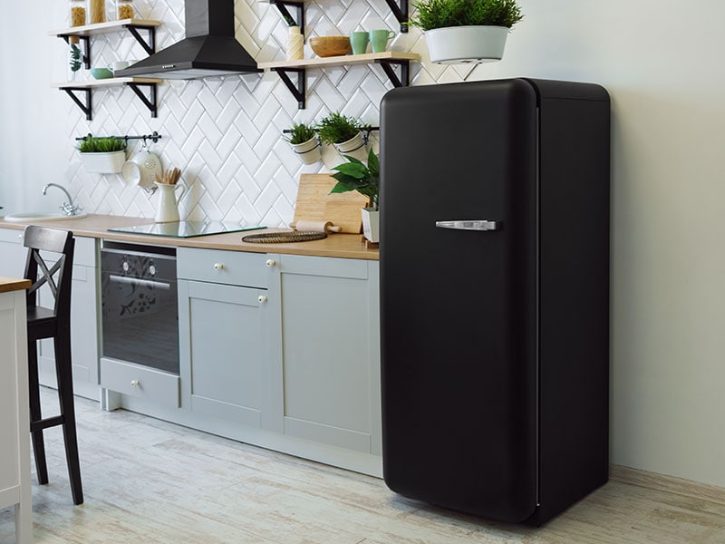 Black Fridge