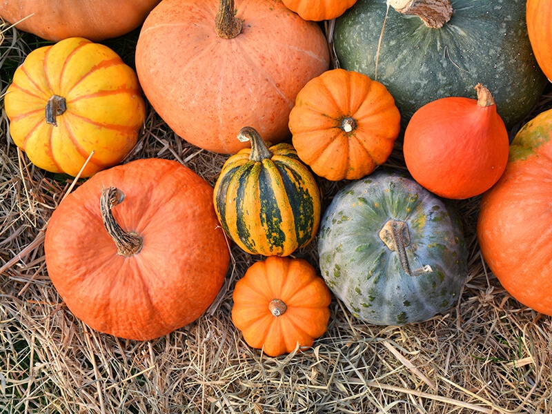 Different Varieties Pumpkins