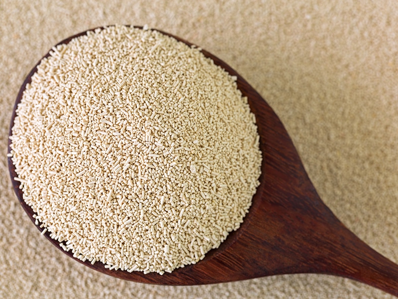 Dry Baking Yeast