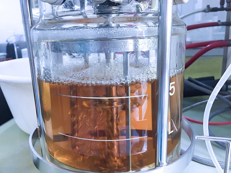 Ethanol Fermentation