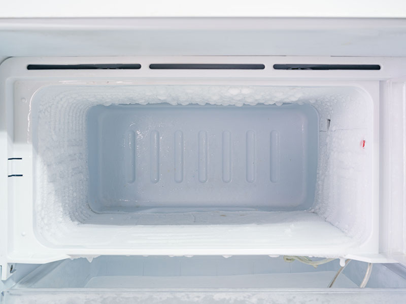 Freezer Refrigerator