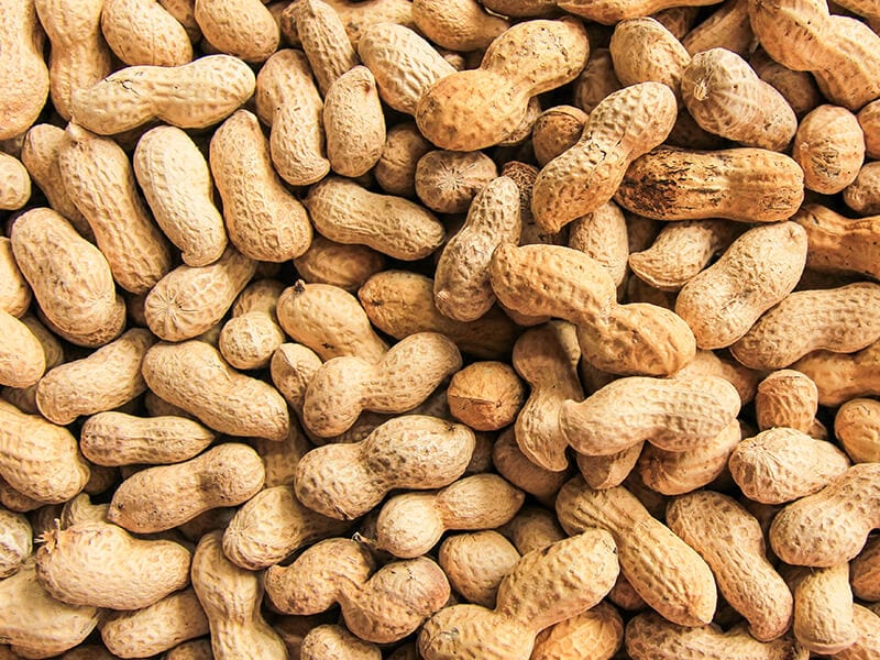 Peanut Nut