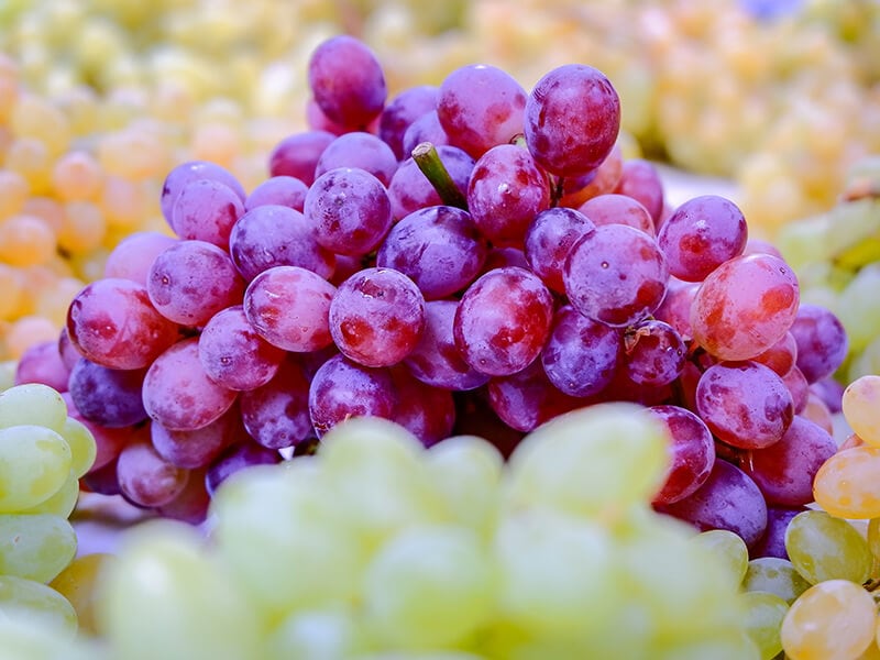 Purple And Green Grapes