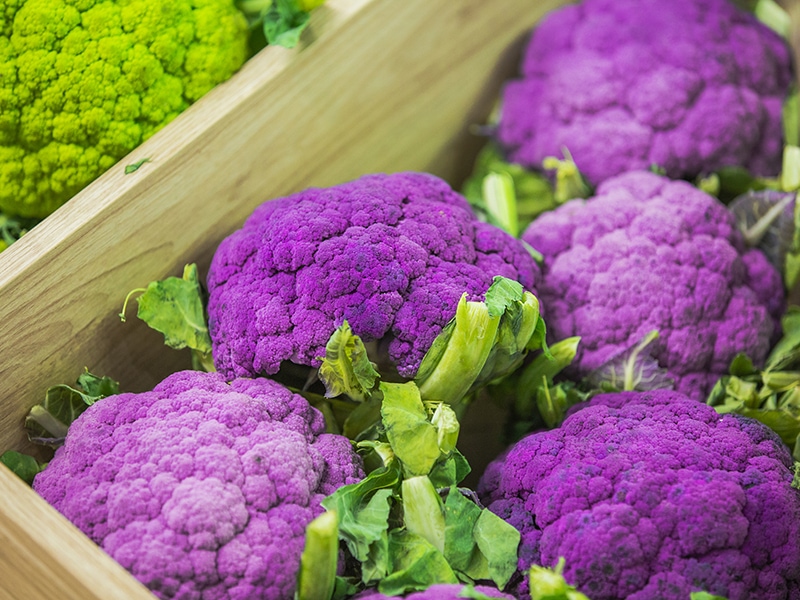 Purple Cauliflower