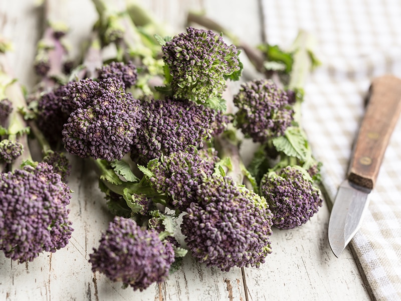 Purple Sprouting Broccoli