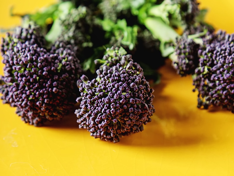 Steam Purple Broccoli