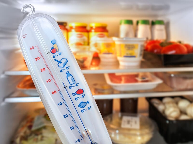 Thermometer Check Fridge Temperature