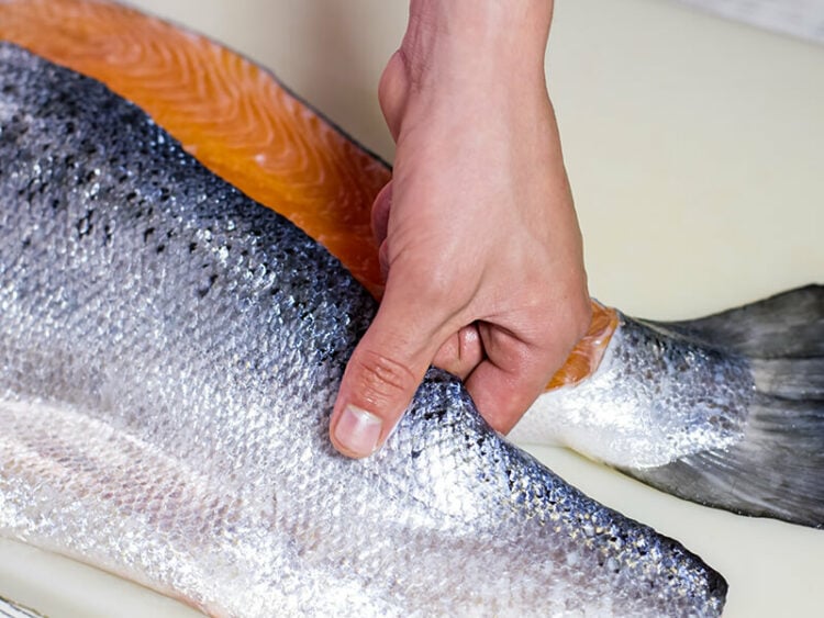 Can You Eat Salmon Scales? Salmon Cooking Tips 2023