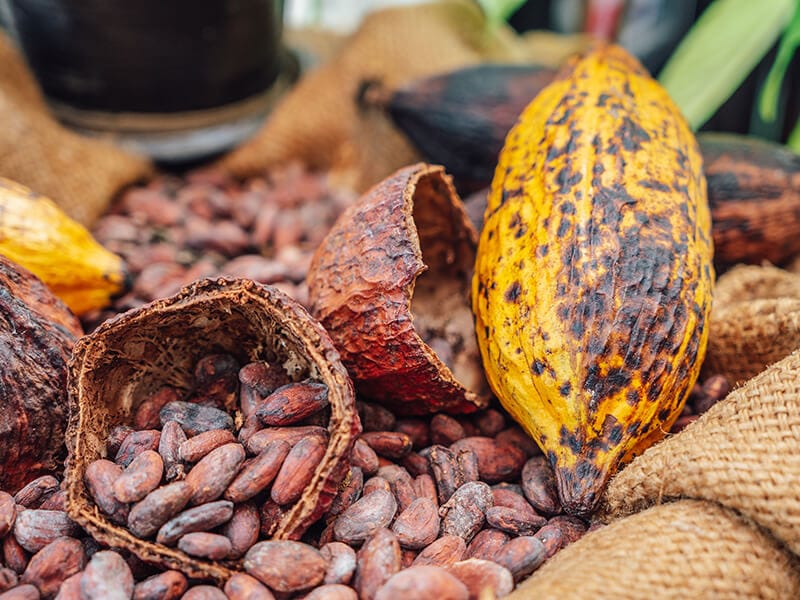 Organic Cocoa Fruit