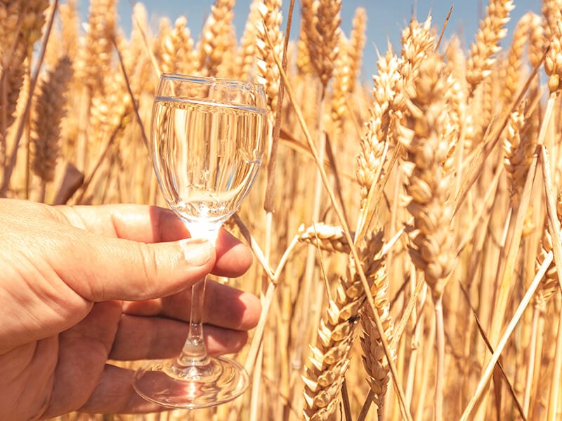 Vodka On Wheat Field