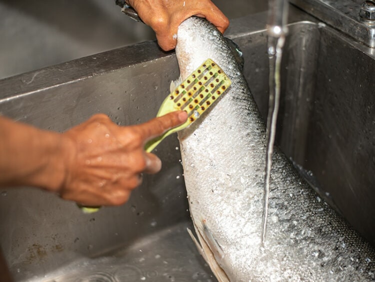 Can You Eat Salmon Scales? Salmon Cooking Tips 2023