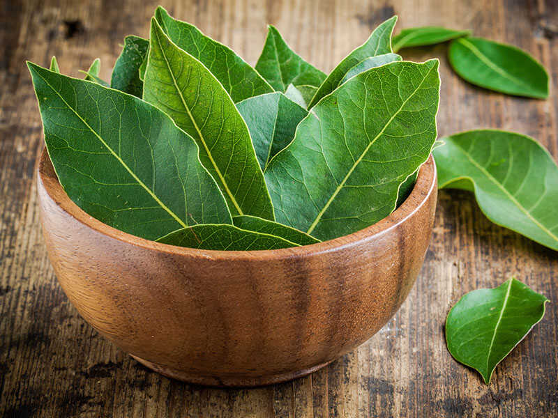 Bay Leaf